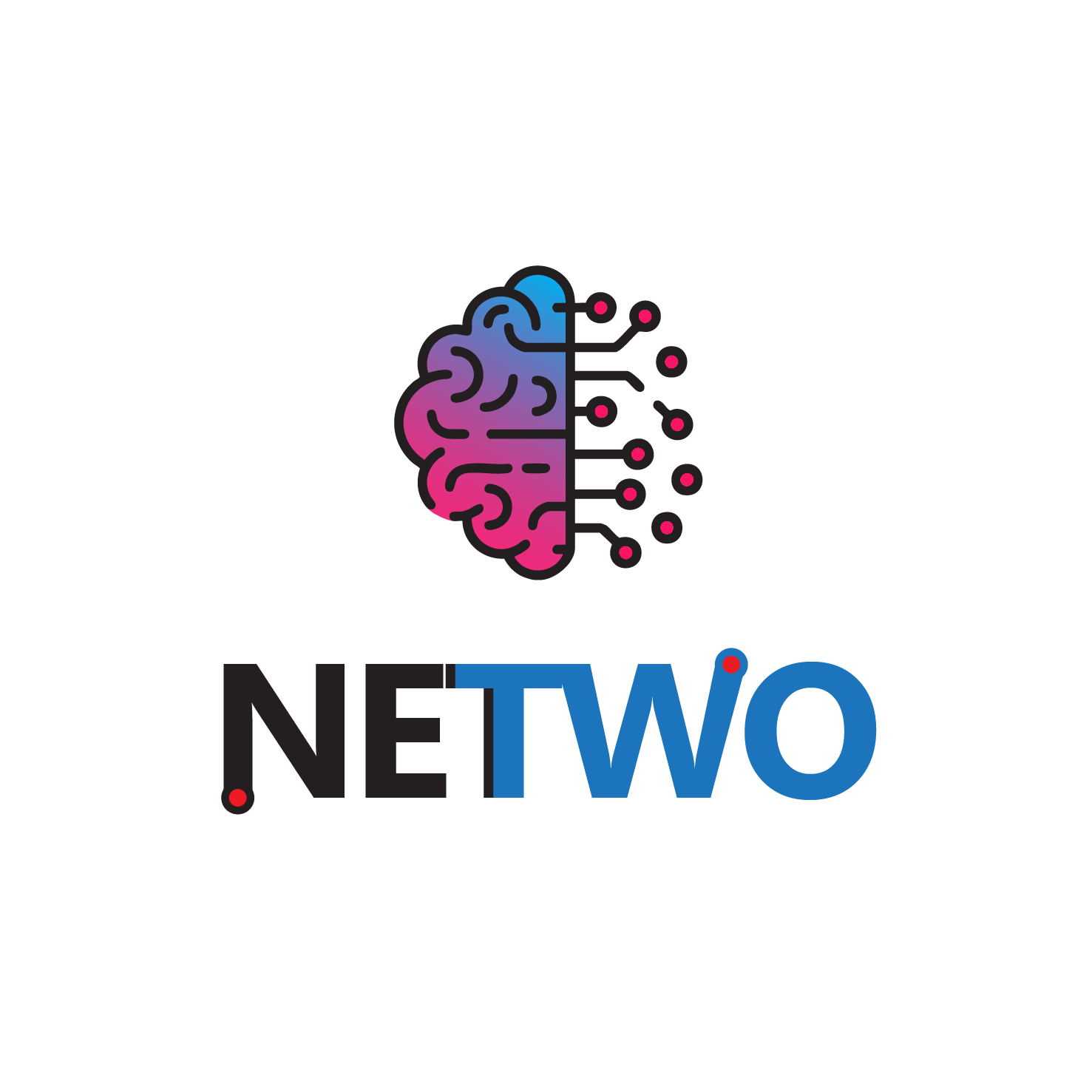 NETWO Logo